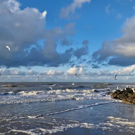 Fischerhaus Cindy In Ferienhaus De Haan