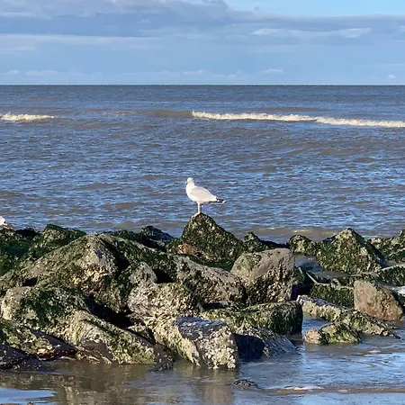 Ferienhaus Fischerhaus Cindy In