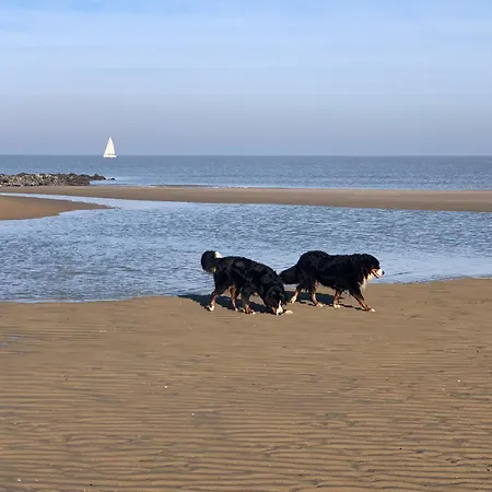 Ferienhaus Fischerhaus Cindy In De Haan